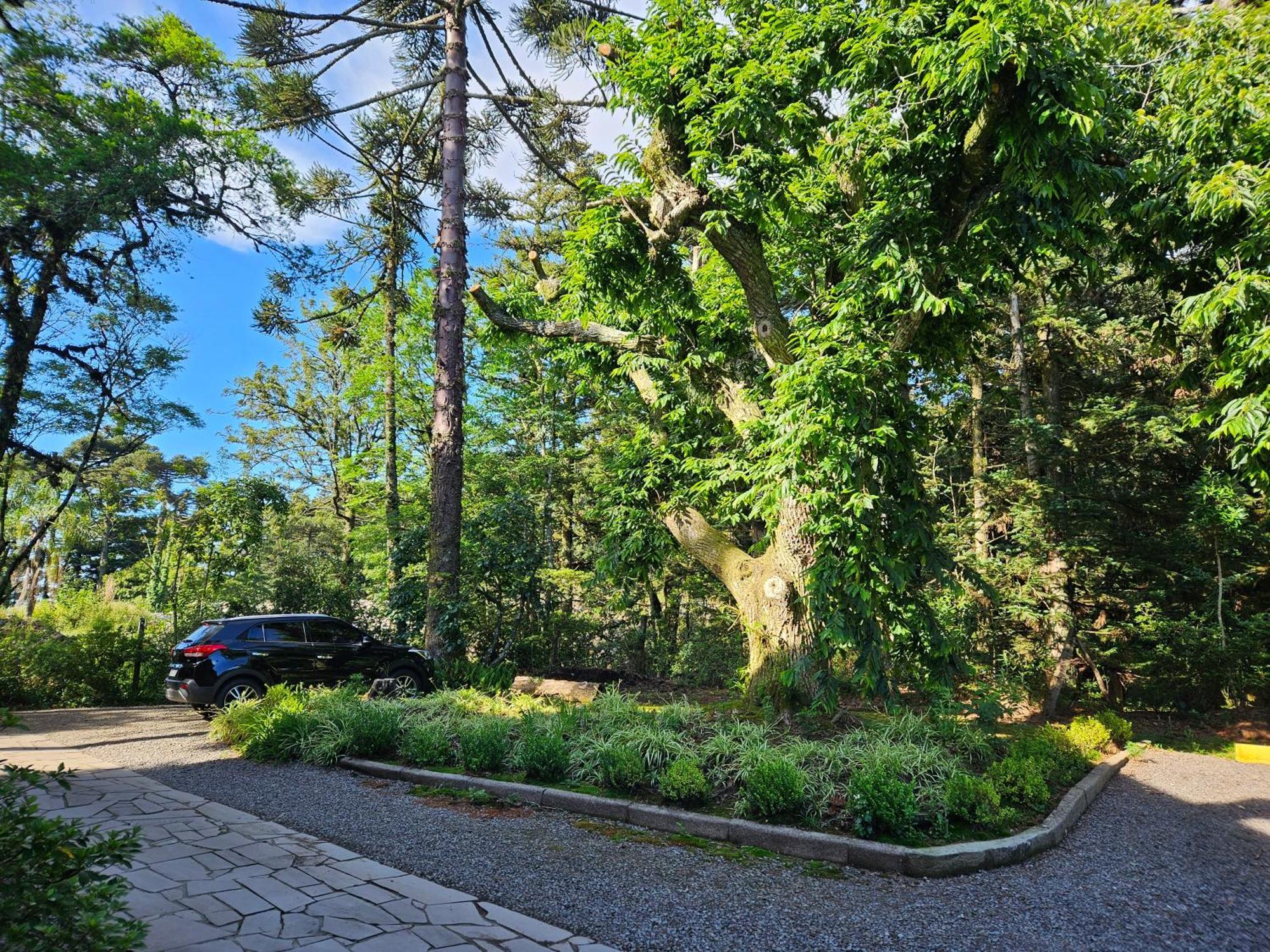 Cantinho Das Oliveiras. Gramado Exteriér fotografie