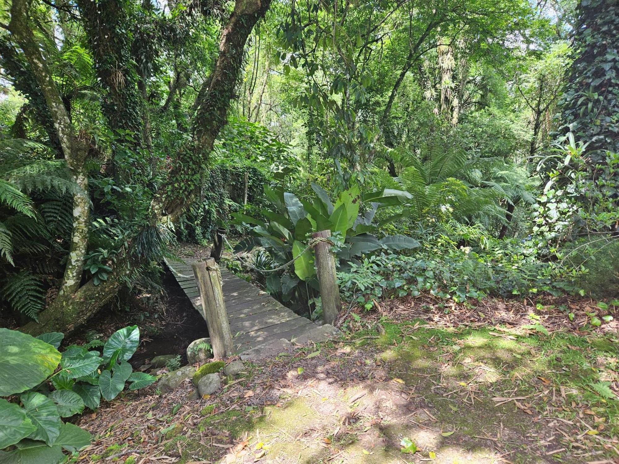 Cantinho Das Oliveiras. Gramado Exteriér fotografie