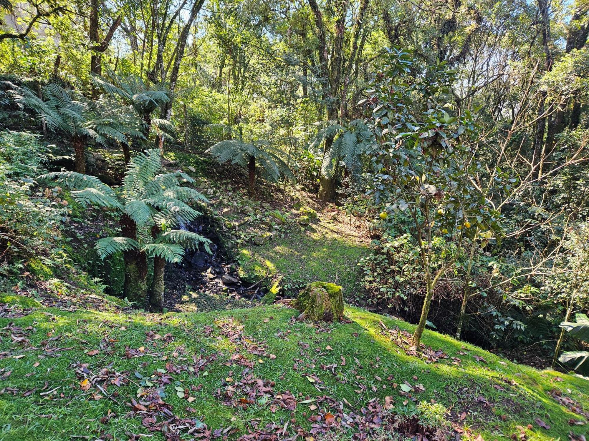 Cantinho Das Oliveiras. Gramado Exteriér fotografie